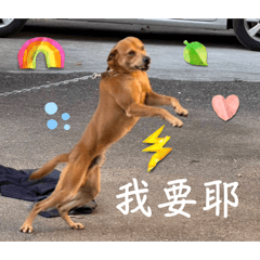 拿鐵和朋友