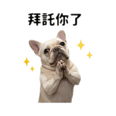 OL stay cool with Frenchie 2