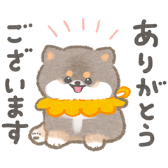 黒柴さんの敬語スタンプ