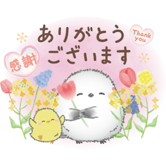 ゆるふわ♡優しいシマエナガさん。⑥