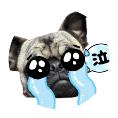 Kiara_20260401184915