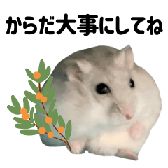 Hamster Pocha Big Text Get Well Stickers