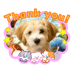 kazoku_2026040119031