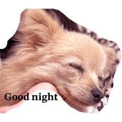 Mickey@gogo_20260401215548