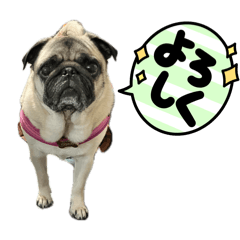 decoo_20260401215244