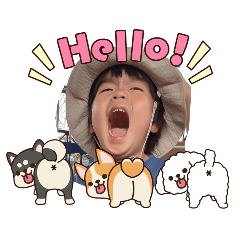 mochi_20260401210800