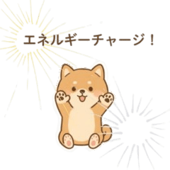 My Cute Shiba Inu 07