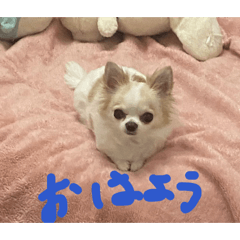 emapen_20260401133457