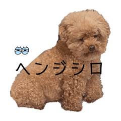 amichapu_20260401133719