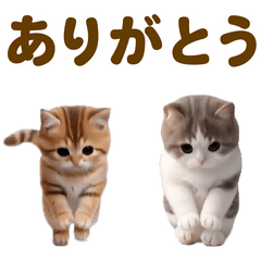 動く!ネコたち!にゃんだふる~