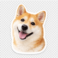 Shiba Inu Komugi | Cute Daily Stickers