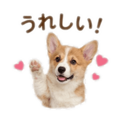 nagisa_20260401210205