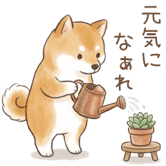 毎日使えるほんわか柴犬【かわいい・挨拶】