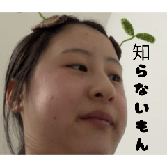 mach_5_20260401212347