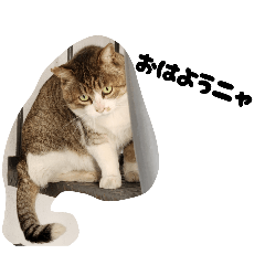 yossiinoml_20260401213338