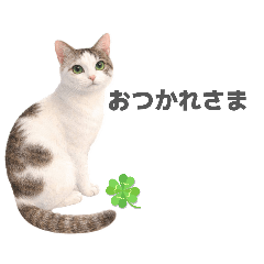 mimimi_20260401211801