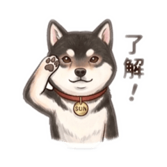 sakura_20260401213241