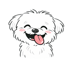 Loose & Cute Maltese