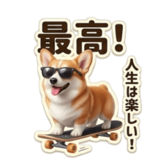 Daily Doggy: Cute Puppy Greetings