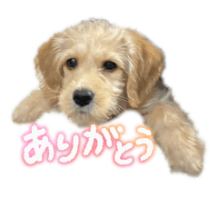 seijo_20260401225859