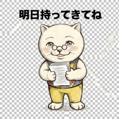 Argyle Cat Sensei's Daily Life