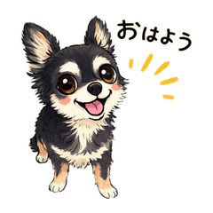 Chihuahua Chihuahua my family