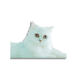 Elegant Cat - Trader Feelings Stickers