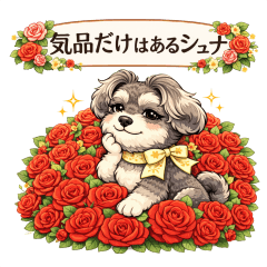 A Schnauzer with Nothing but Elegance