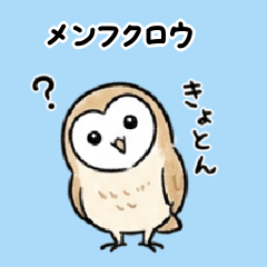 メンフクロウ：多彩なポーズと日常