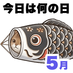 What day is it today?  May