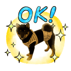 taisei_20260401195705