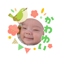 kakka_20260401213414