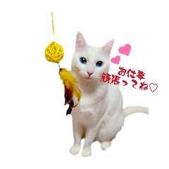 chichan's_20260401211639