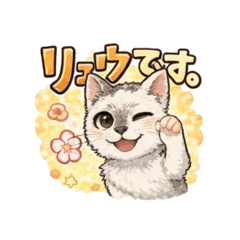 Our elderly cat, Ryu-chan