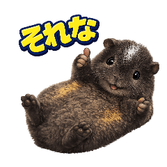 yoko_w_20260401214639