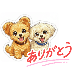 CottPoma33_20260402000758