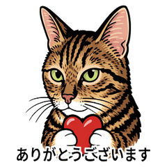 Tabby Cat Daily Stickers365