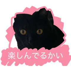 NYASU_20260329170545