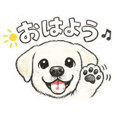 labrador-chan