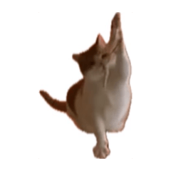 chapa_20260401223436