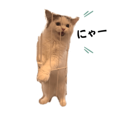 TSUMU TSUMU_20260401135932