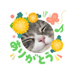 vivi_202604011406471