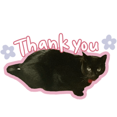 Mihamiha_20260401140629