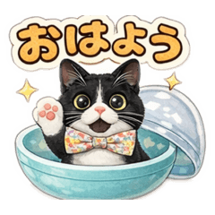 nyanko teacher_20260401180606