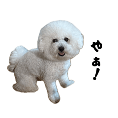 yuttyi_20260401202201