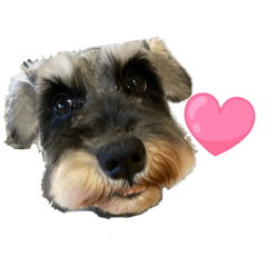 kawawa0411_20260401214010