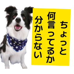 YAMATO_20260401231733