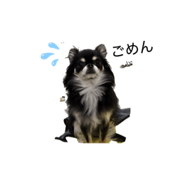 Yuzuki_20260401232215