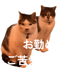 Arkycheeky_20260401232137