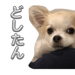 191977_20260401232357